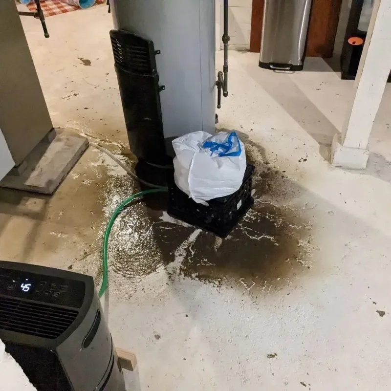 Sewage Backup Cleanup Service in Kodiak Island Borough, AK